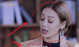 宁静采访爆料视频完整版,揭秘娱乐圈幕后真相与个人心路历程